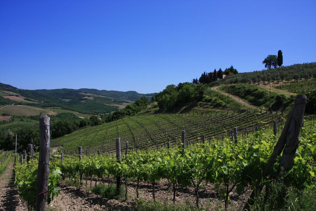 Il Borghetto Tuscan Holidays San Gimignano Exteriér fotografie